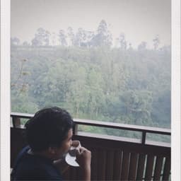 Faris