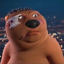 bear